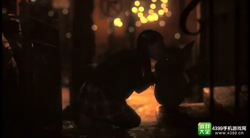 辉达娱乐APP下载视觉横幅